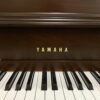 YAMAHA 古典雕花 Ｍ2R ($7萬~10萬)：圖片 4