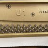 YAMAHA U1 ($5萬~8萬)：圖片 6