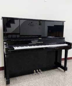 Alternative view of YAMAHA 米字琴 WX30 ($12萬~14萬)